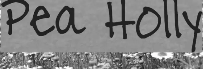 Pea Holly Font examples