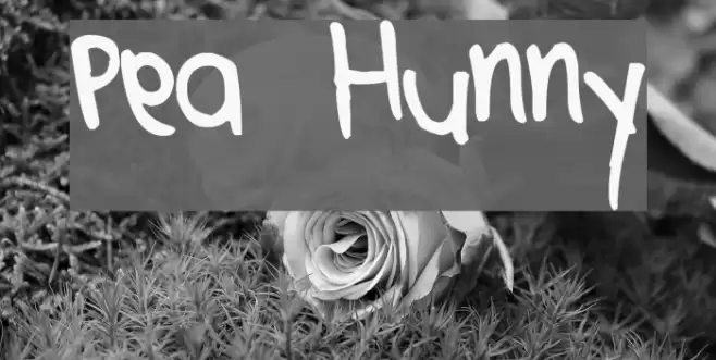 Pea Hunny Font examples