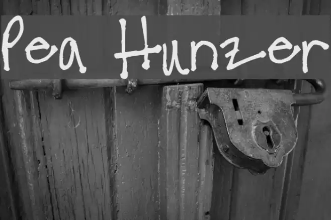 Pea Hunzer Font examples