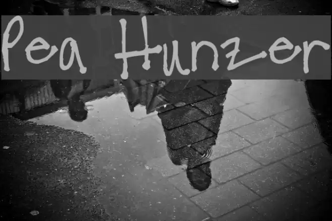 Pea Hunzer Font examples