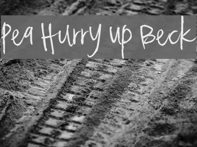 Pea Hurry Up Beck Font examples