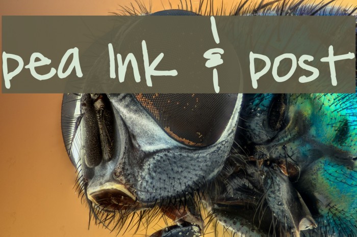 Pea Ink & Post Font examples