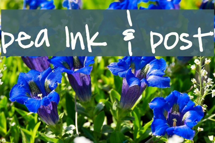 Pea Ink & Post Font examples