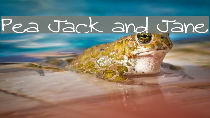Pea Jack and Jane Font examples