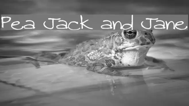 Pea Jack and Jane Шрифта examples