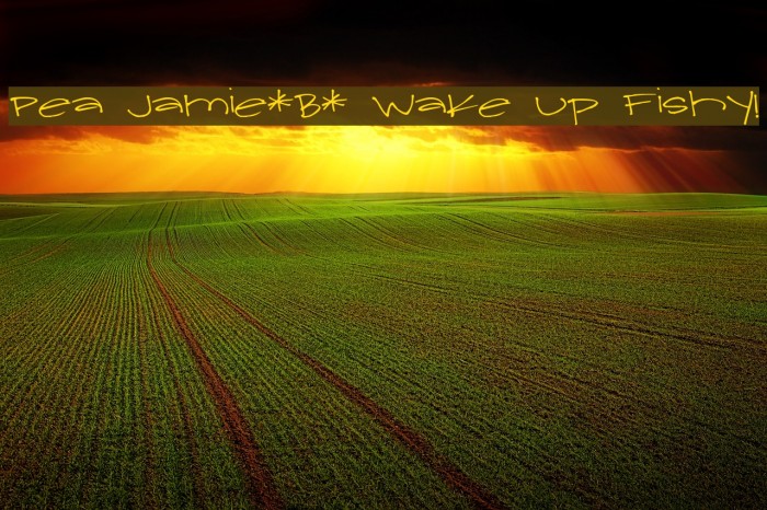 Pea Jamie*B* Wake Up Fishy! Example 1