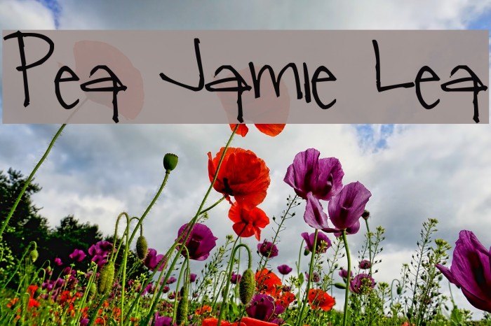 Pea Jamie Lea Font examples