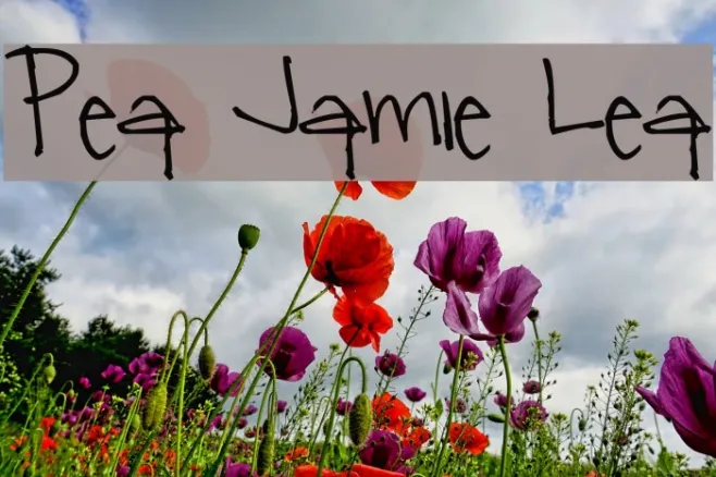 Pea Jamie Lea Example 2