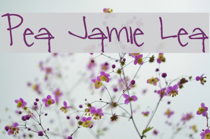 Pea Jamie Lea Font examples