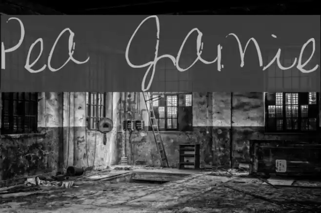 Pea Jamie Font examples