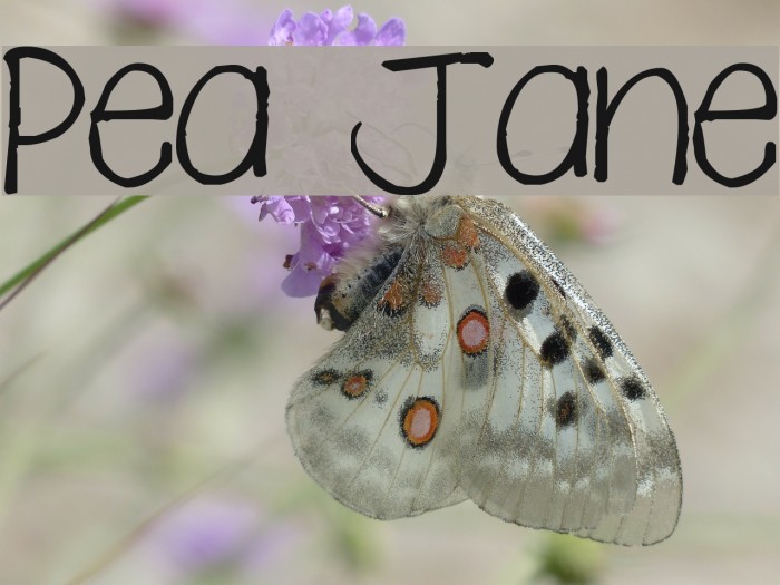 Pea Jane Font examples