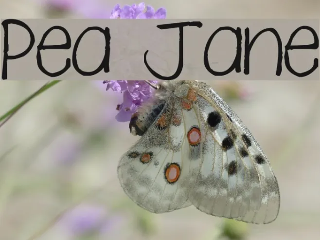 Pea Jane Example 1
