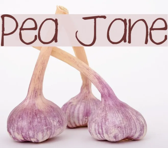 Pea Jane Example 3