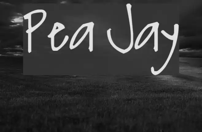 Pea Jay Font examples