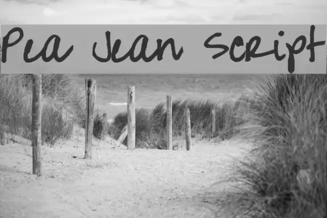 Pea Jean Script Font examples