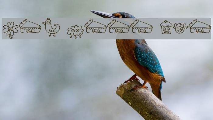 Pea Jelene's Doodles Font examples