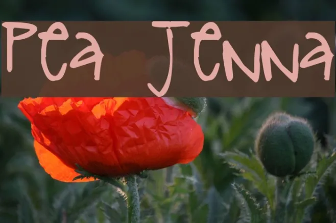 Pea Jenna Example 1