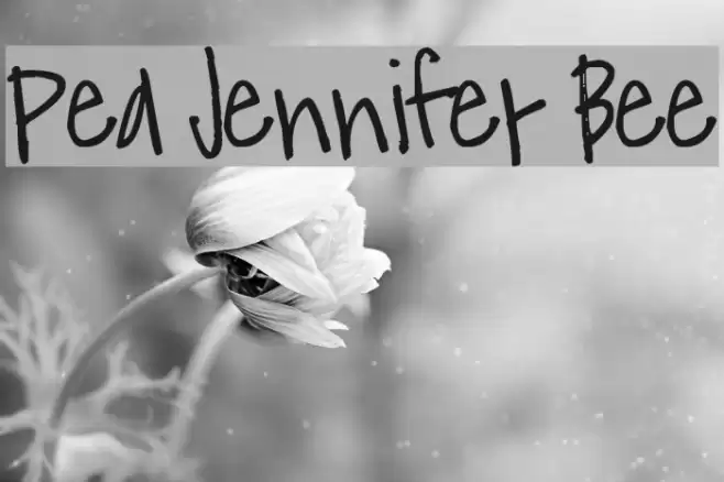 Pea Jennifer Bee Font examples