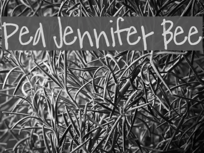Pea Jennifer Bee Font examples