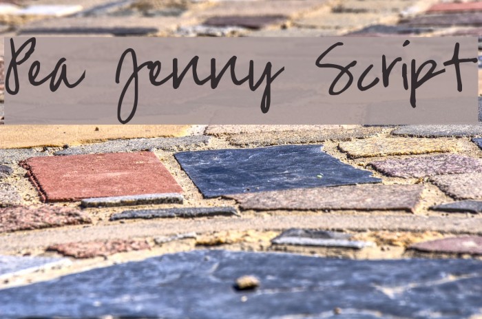 Pea Jenny Script Caratteri examples