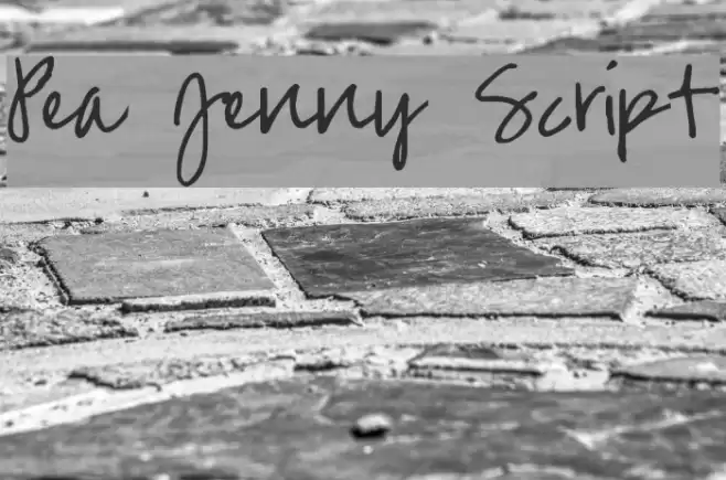 Pea Jenny Script フォント examples