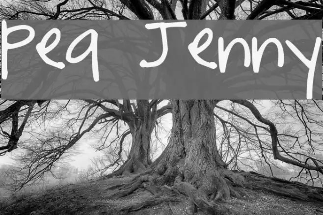 Pea Jenny フォント examples