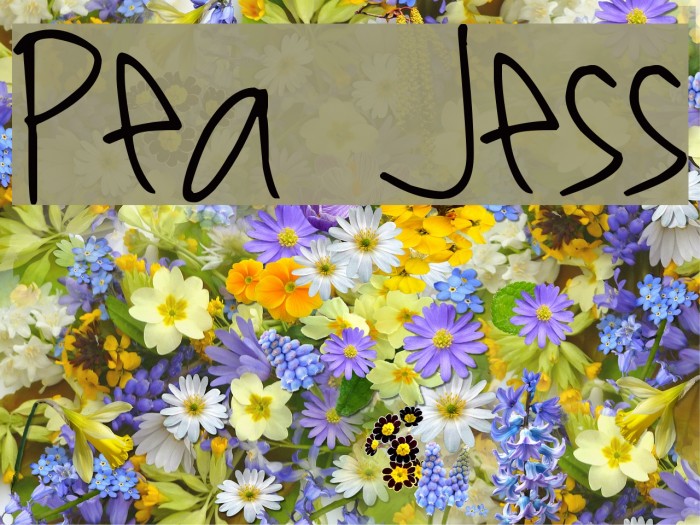 Pea Jess Font examples