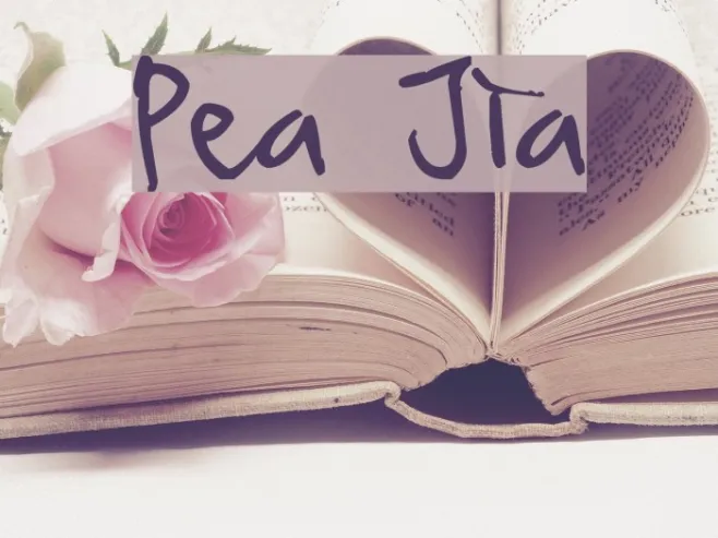 Pea Jia Example 2
