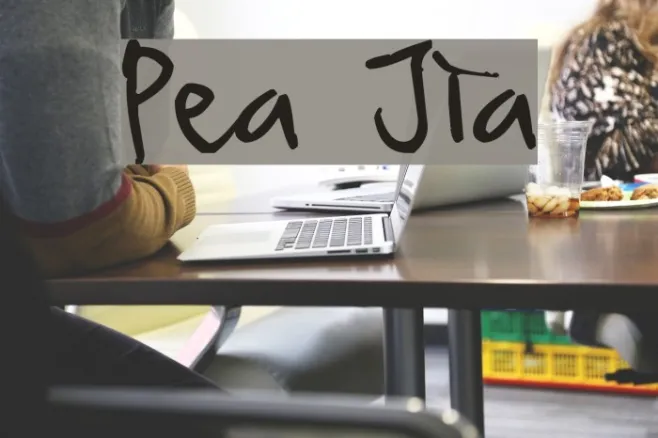 Pea Jia Example 3
