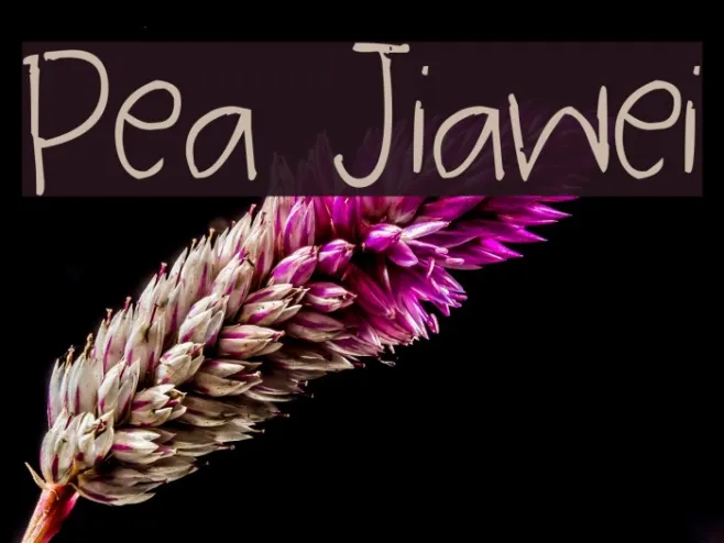 Pea Jiawei Example 2