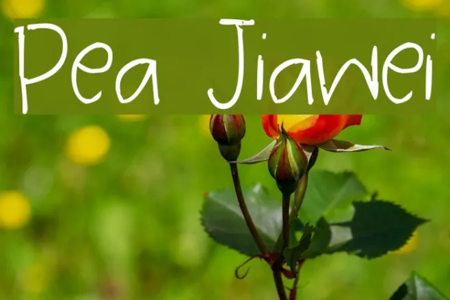 Pea Jiawei Example 3