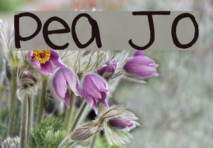 Pea Jo Font examples