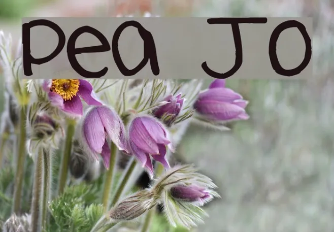 Pea Jo Example 1