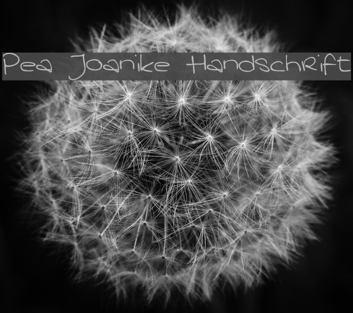 Pea Joanike Handschrift Font examples