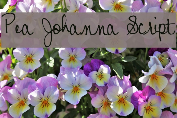 Pea Johanna Script Font examples