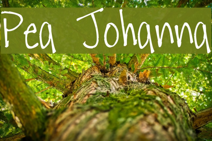 Pea Johanna Font examples