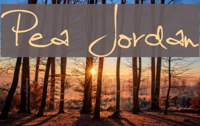 Pea Jordan Example 3