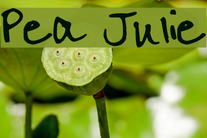 Pea Julie フォント examples