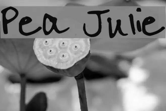Pea Julie Font examples