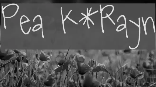 Pea K*Rayn Font examples