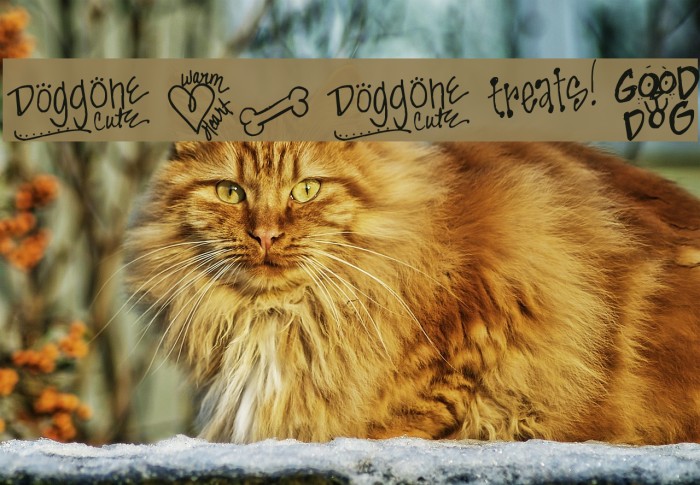 Pea KT Puppy Love Doodles Example 2