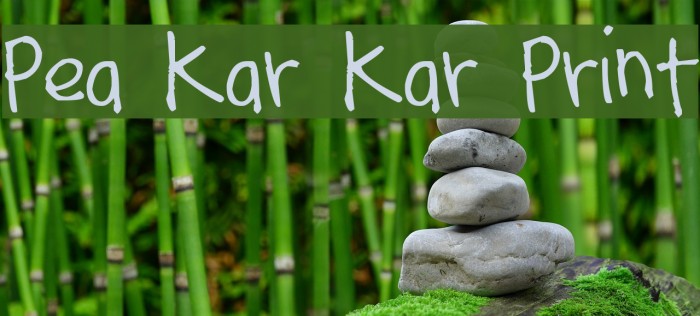 Pea Kar Kar Print Font examples