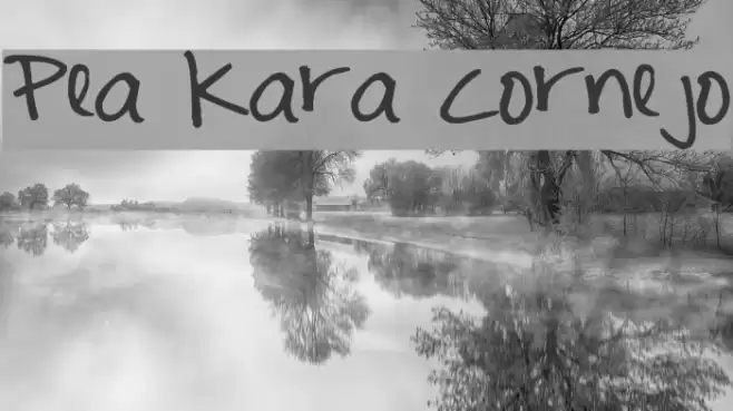 Pea Kara Cornejo Font examples
