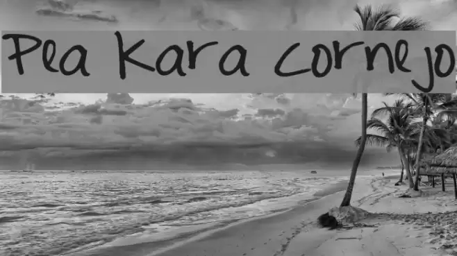 Pea Kara Cornejo Font examples