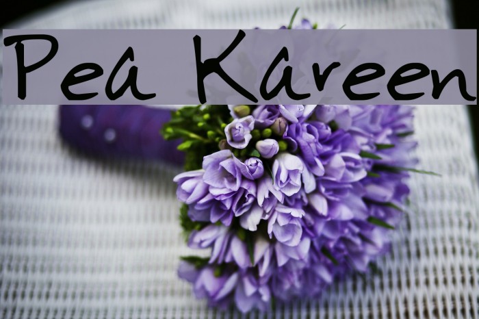 Pea Kareen Font examples