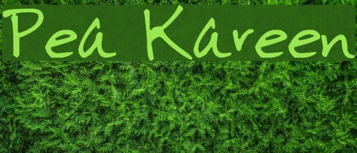 Pea Kareen Font examples