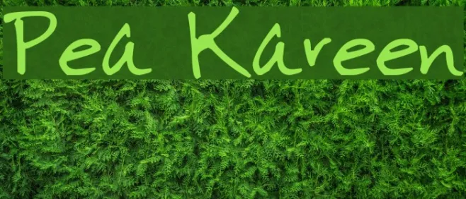 Pea Kareen Example 3