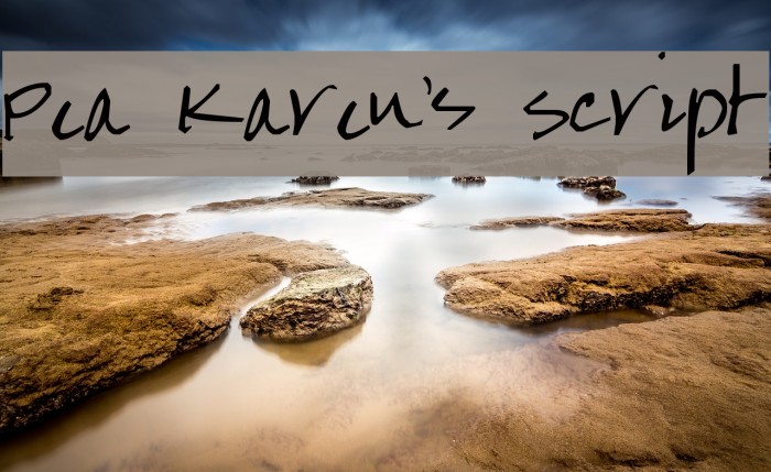 Pea Karen's Script Font examples