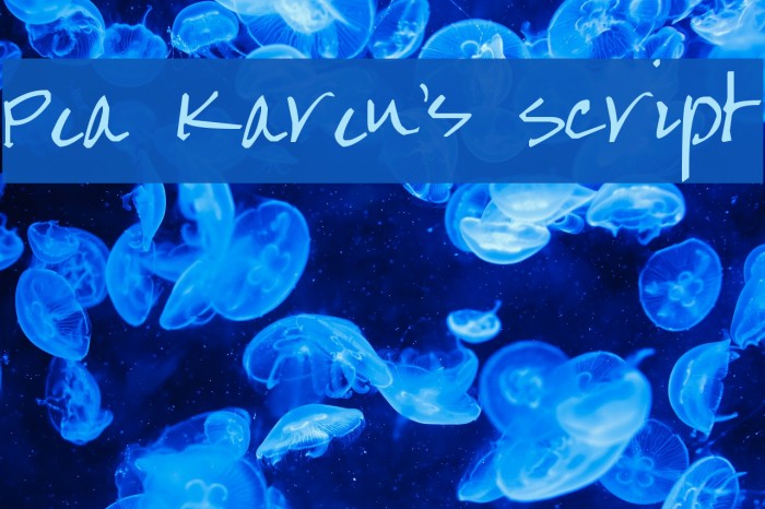 Pea Karen's Script Font examples