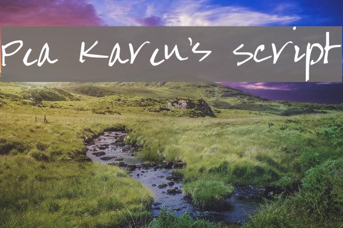 Pea Karen's Script Font examples